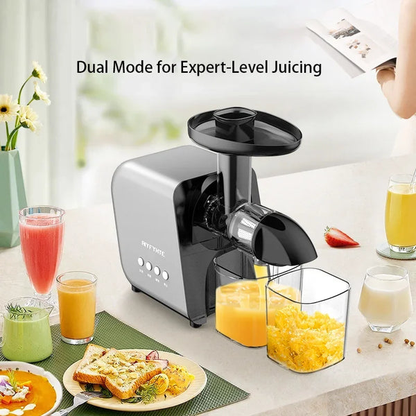 250W Cold Press Slow Juicer
