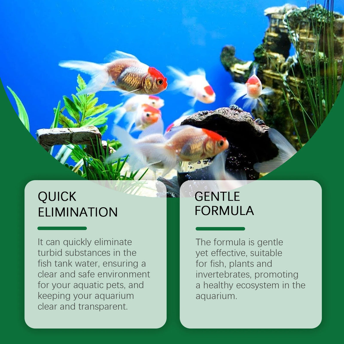 Aquarium Water Purifying Tablets for Clear, Healthy Tanks