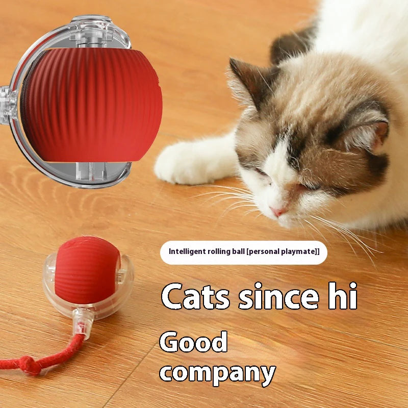 Smart Sensor Cat Toy Ball with Chirping Bird Teaser