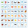 A grid of flash cards featuring various animals like a turtle, shark, penguin, whale, and various mammals for children's voca