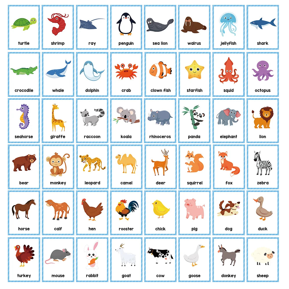 A grid of flash cards featuring various animals like a turtle, shark, penguin, whale, and various mammals for children's voca