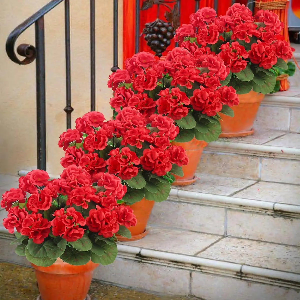A row of vibrant red geraniums in orange pots lined up on stone steps.