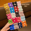 Barrettes à Nœuds Colorés