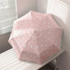 A pink lace double-layer folding umbrella is displayed on a white surface next to a window.