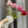 Handmade Crochet Carnation Flower Bouquet