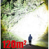 A bright flashlight beam illuminates a dark forest area, demonstrating wide range lighting.