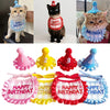 A set of pet birthday party hats and bibs for cats and small dogs in various colors like pink yellow red blue and white