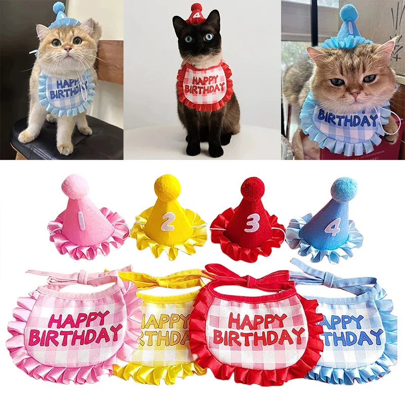A set of pet birthday party hats and bibs for cats and small dogs in various colors like pink yellow red blue and white
