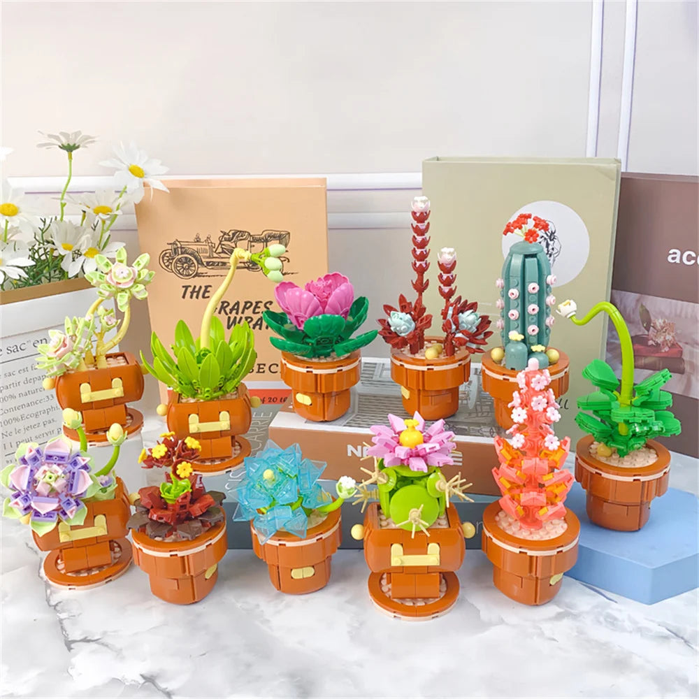 DIY Succulent Plant Building Block Bouquet
