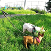 Dual Dog Leash with 360° Swivel Tangle-Free Design