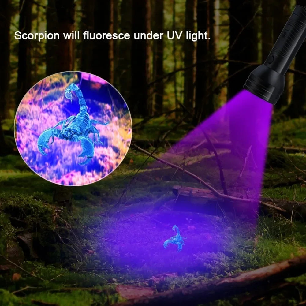 A purple UV light illuminates a scorpion, causing it to fluoresce under the light in a forest setting.