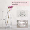 Mini Clear Glass Bottles with Lids for Potions, Shots & Essential Liquids