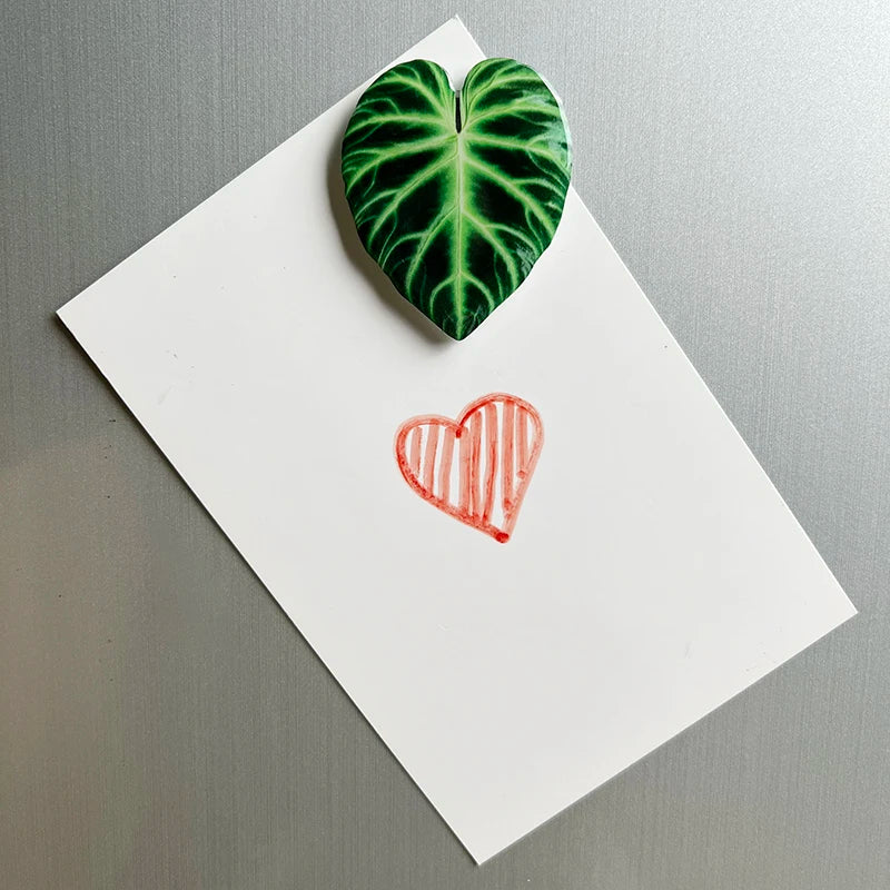 Acrylic Leaf Magnets Set - Fridge Decor