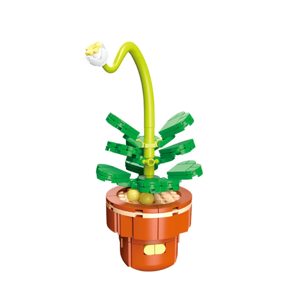 DIY Succulent Plant Building Block Bouquet