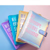 A showcase of a pink and blue A5 budget binder with 100 envelope savings challenge cash envelopes.