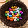Magic Hatching Dinosaur Eggs – Grow Your Own Dino