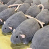 Realistic Rat Plush Toy – Cute Soft Stuffed Animal for Snuggling