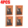 Cat Frame Fridge Magnets Set