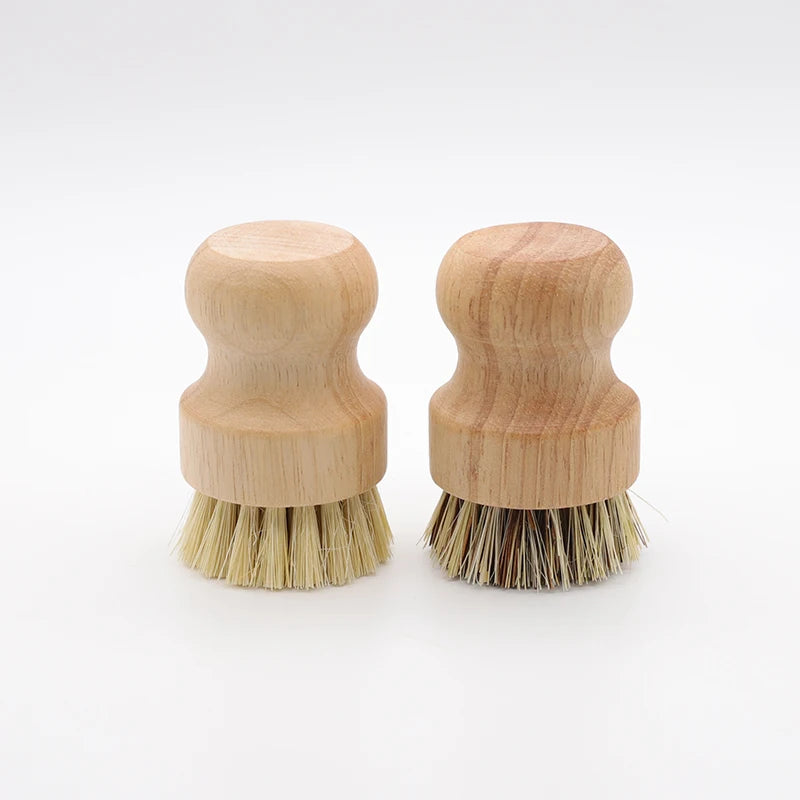 Two wooden dish scrub brushes with natural sisal bristles resting on a white background.