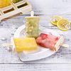 Set de Moldes para Paletas y Helados Caseros con Protección contra Goteo