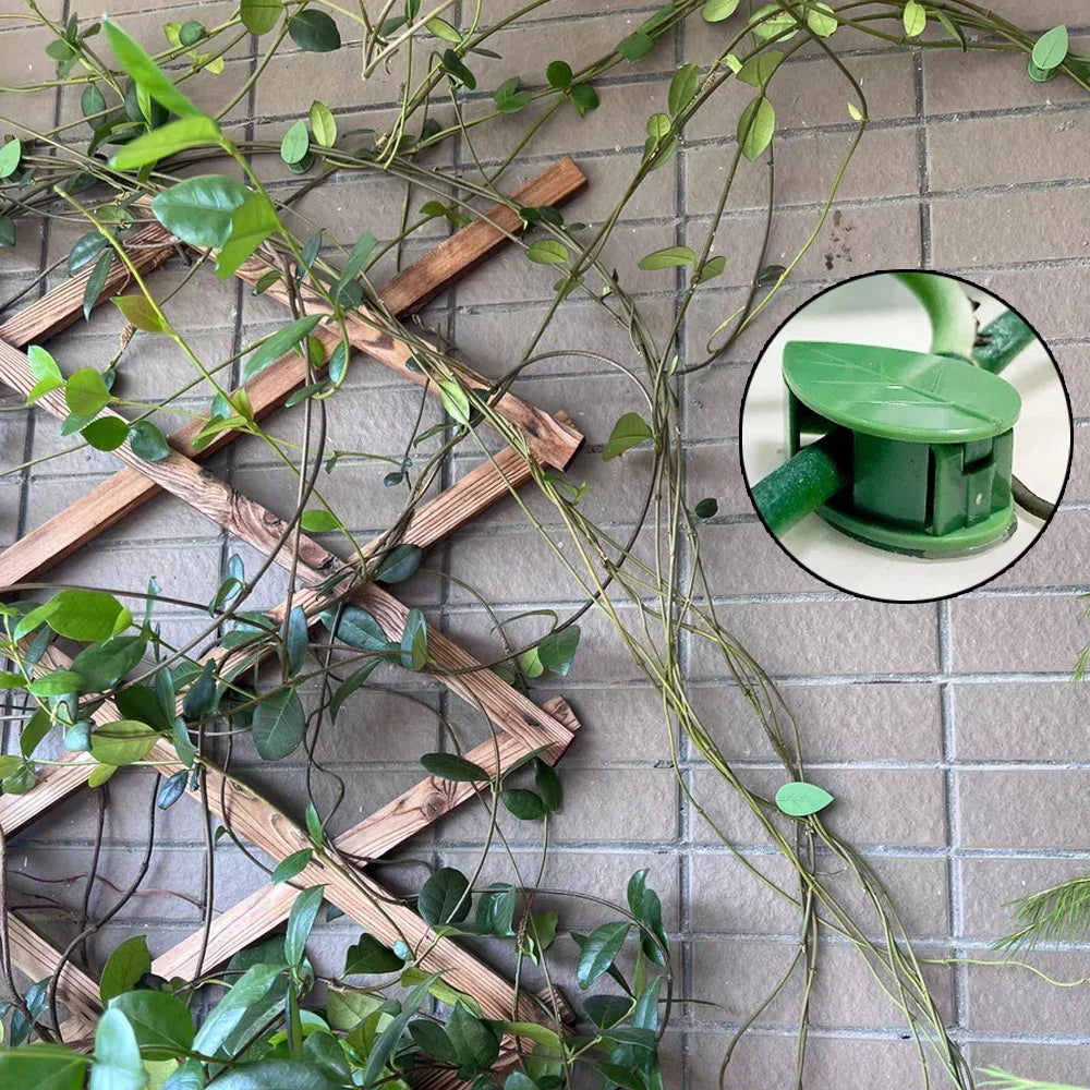 Self-Adhesive Leaf-Shaped Plant Climbing Clips