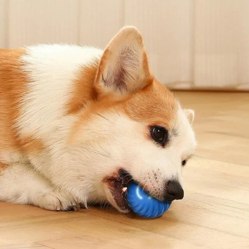 Interactive Smart Dog Ball
