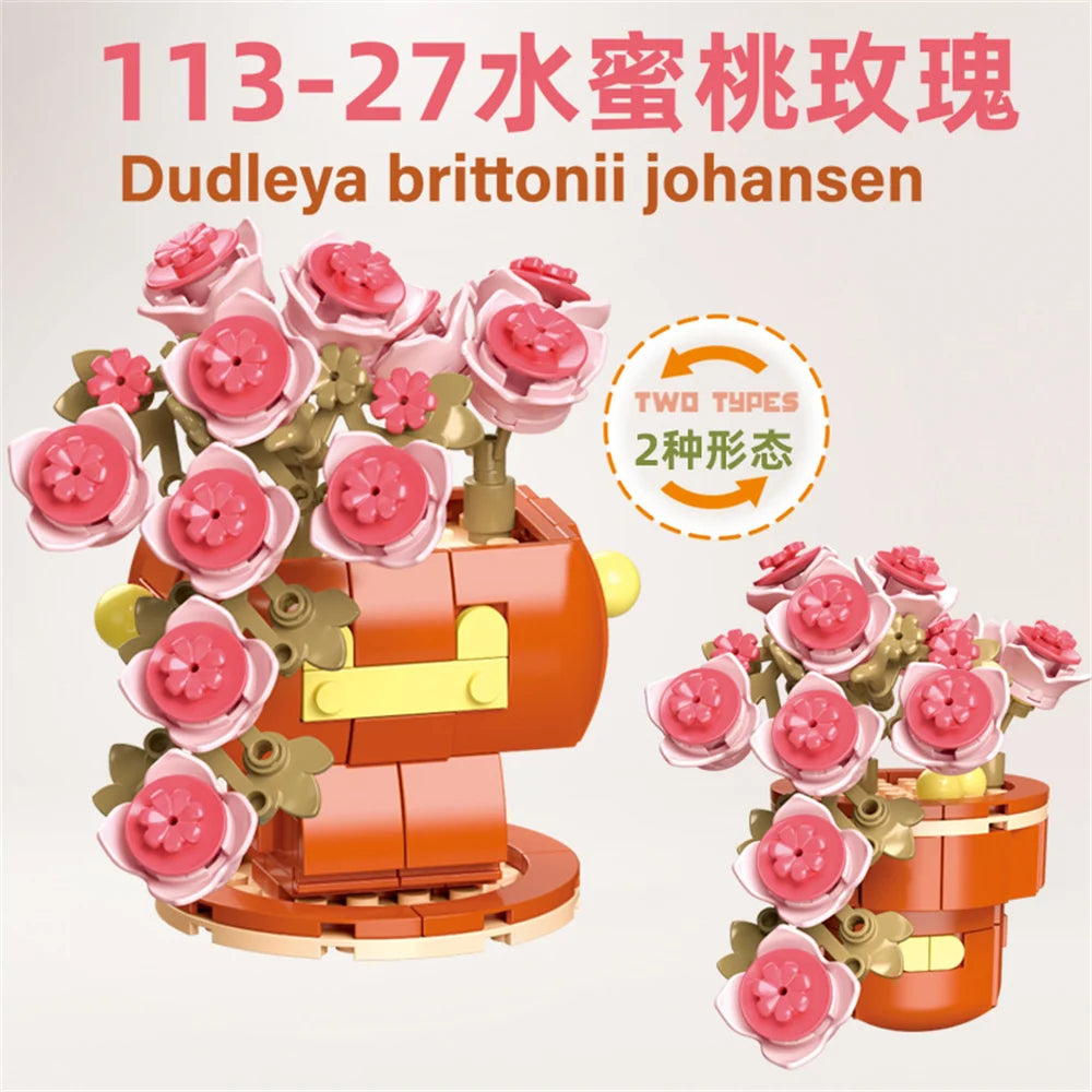 DIY Succulent Plant Building Block Bouquet