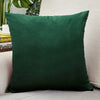 Velvet Throw Pillow Cover for Sofa and Bed Decor