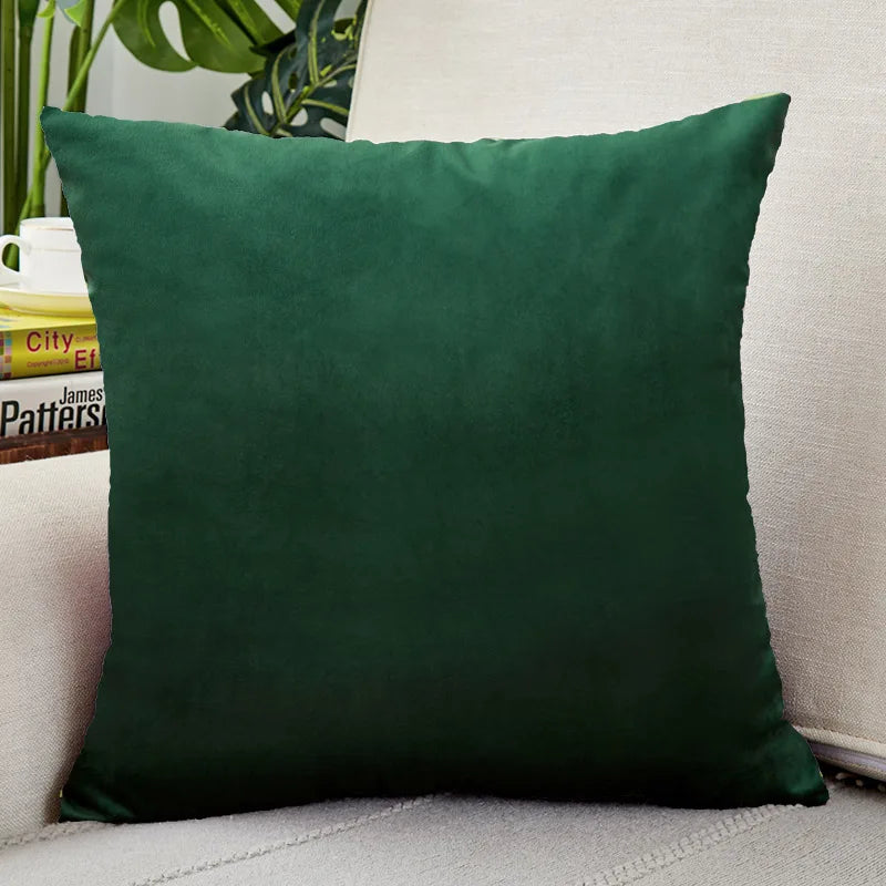 Velvet Throw Pillow Cover for Sofa and Bed Decor