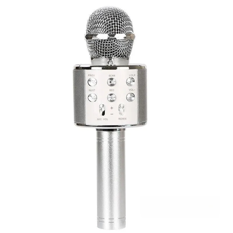 5-in-1 Karaoke Microphone & Bluetooth Speaker