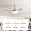 Modern LED Ceiling Fan with Remote Control