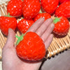 Crunchy Tofu Stress Ball