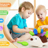 Montessori Sensory Hedgehog Toy for Toddlers