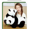 Adorable Panda Plush Toy – 20cm Soft Cuddly Companion