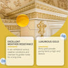 Close-up of metallic gold paint finish on decorative molding and trim, highlighting its weather resistance.
