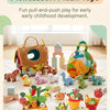 Montessori Carrot Pluck & Sort Sensory Toy Set