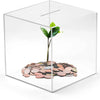 Une boîte de tirelire en acrylique transparent contenant une petite plante poussant d'un tas de pièces.