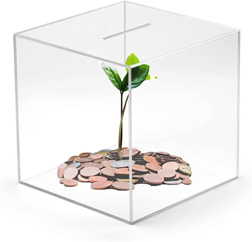 Une boîte de tirelire en acrylique transparent contenant une petite plante poussant d'un tas de pièces.