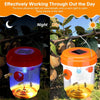 Solar-Powered Outdoor Insect Trap
