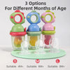 Three silicone baby fruit feeders in green, blue, and pink for different months of age.