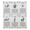A set of five oracle cards featuring different spirit animals like Lion, Turkey, Spider, Fox, Hawk, and Horse for guidance.