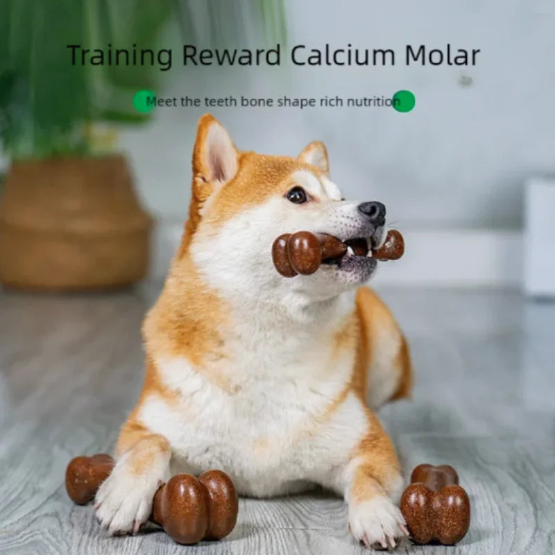 Natural Wood Dog Chew Toy