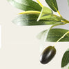 Lifelike Artificial Olive Tree in Black Pot with Natural Wood Trunk