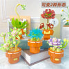 DIY Succulent Plant Building Block Bouquet