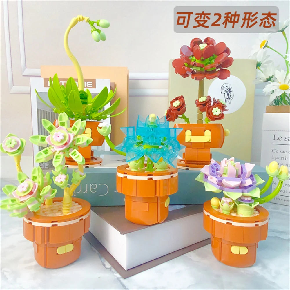 DIY Succulent Plant Building Block Bouquet