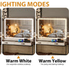 LED Vanity Mirror with Dimmable 3-Color Lighting