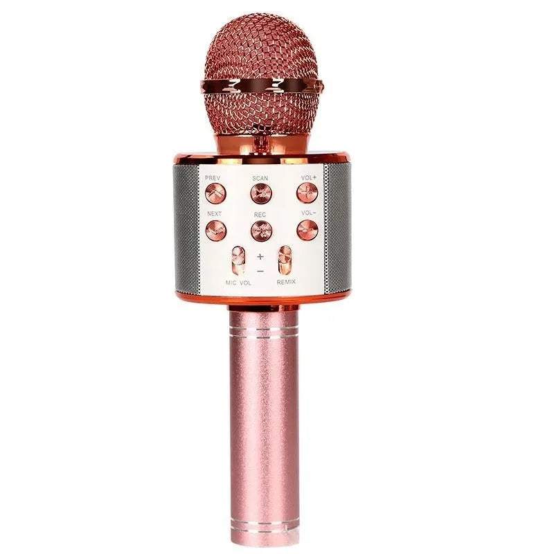 Portable Bluetooth Karaoke Microphone & Speaker