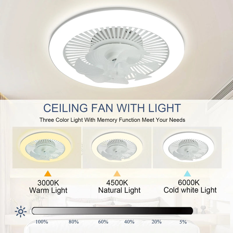 Modern LED Ceiling Fan with Remote Control