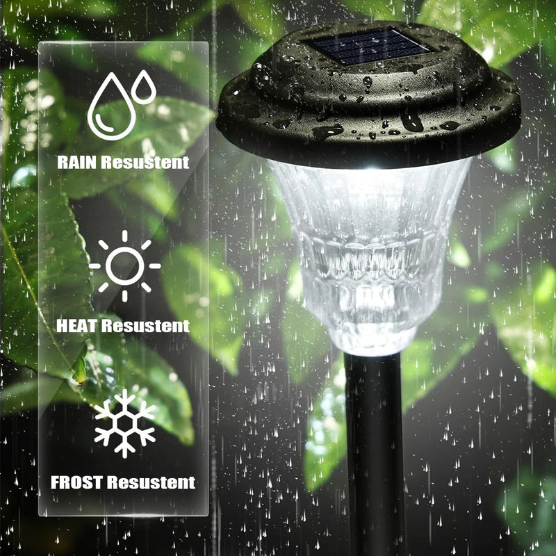 Solar-Powered LED Pathway Lights