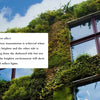 Adhesive film with mirror effect on a building facade covered in green ivy.